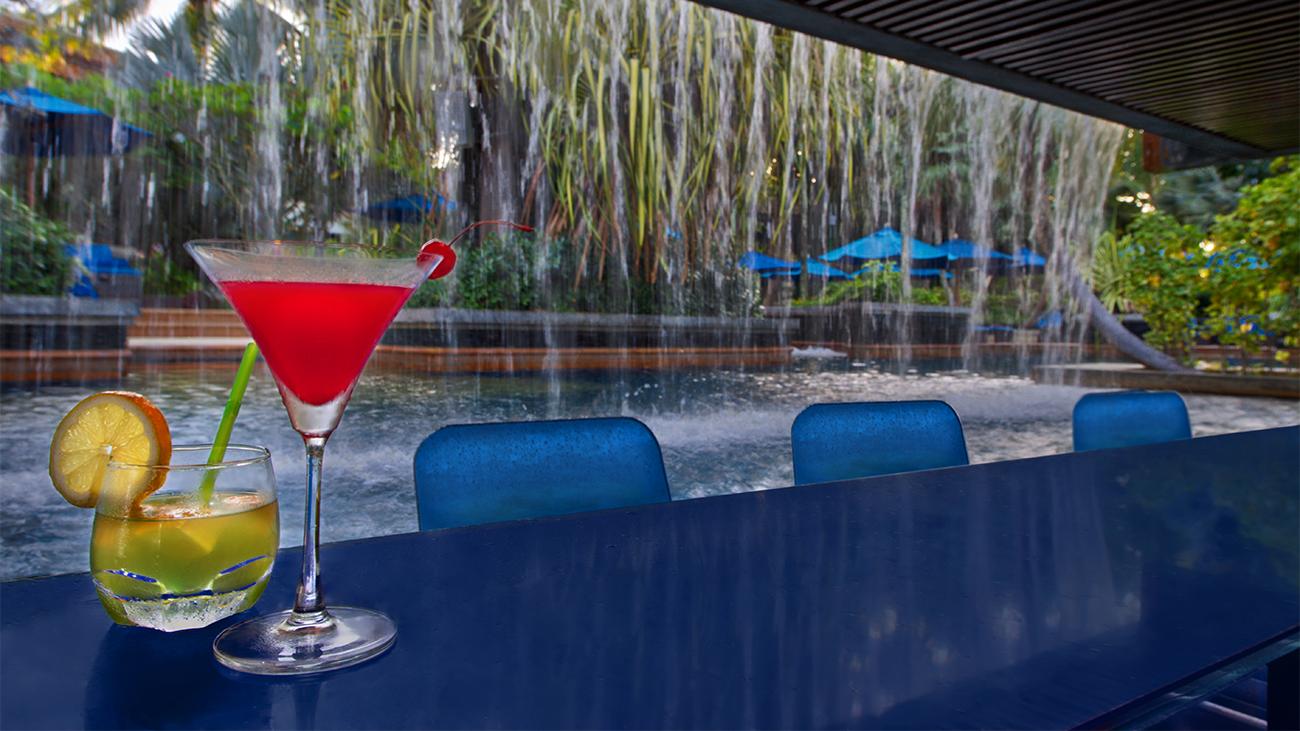 South Pool - Splash Swim Up Bar